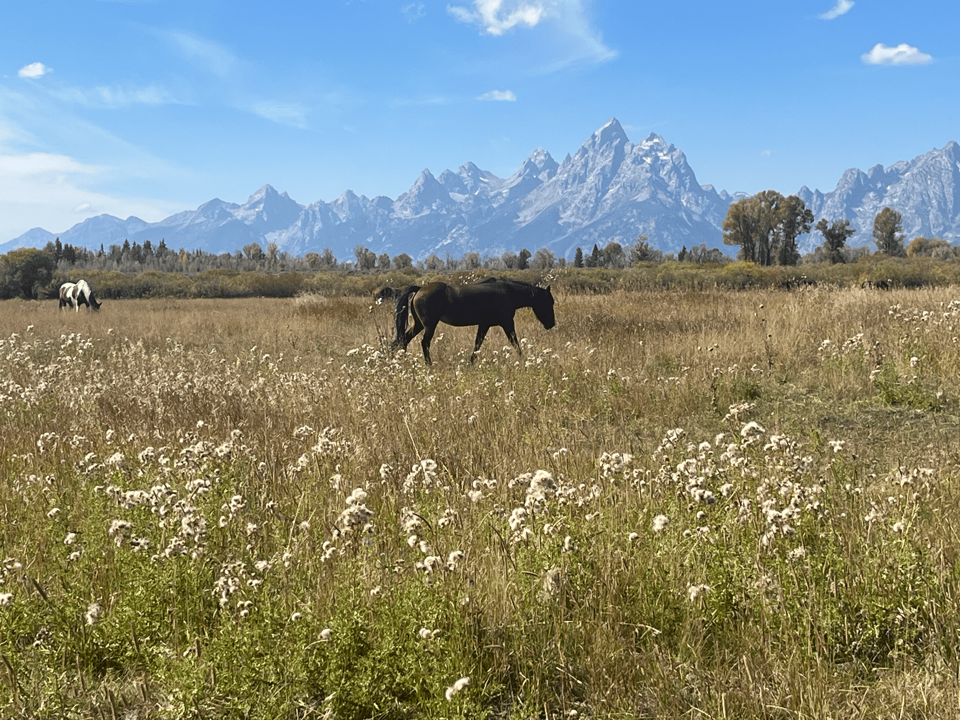 Grand Teton National Park and Jackson Hole