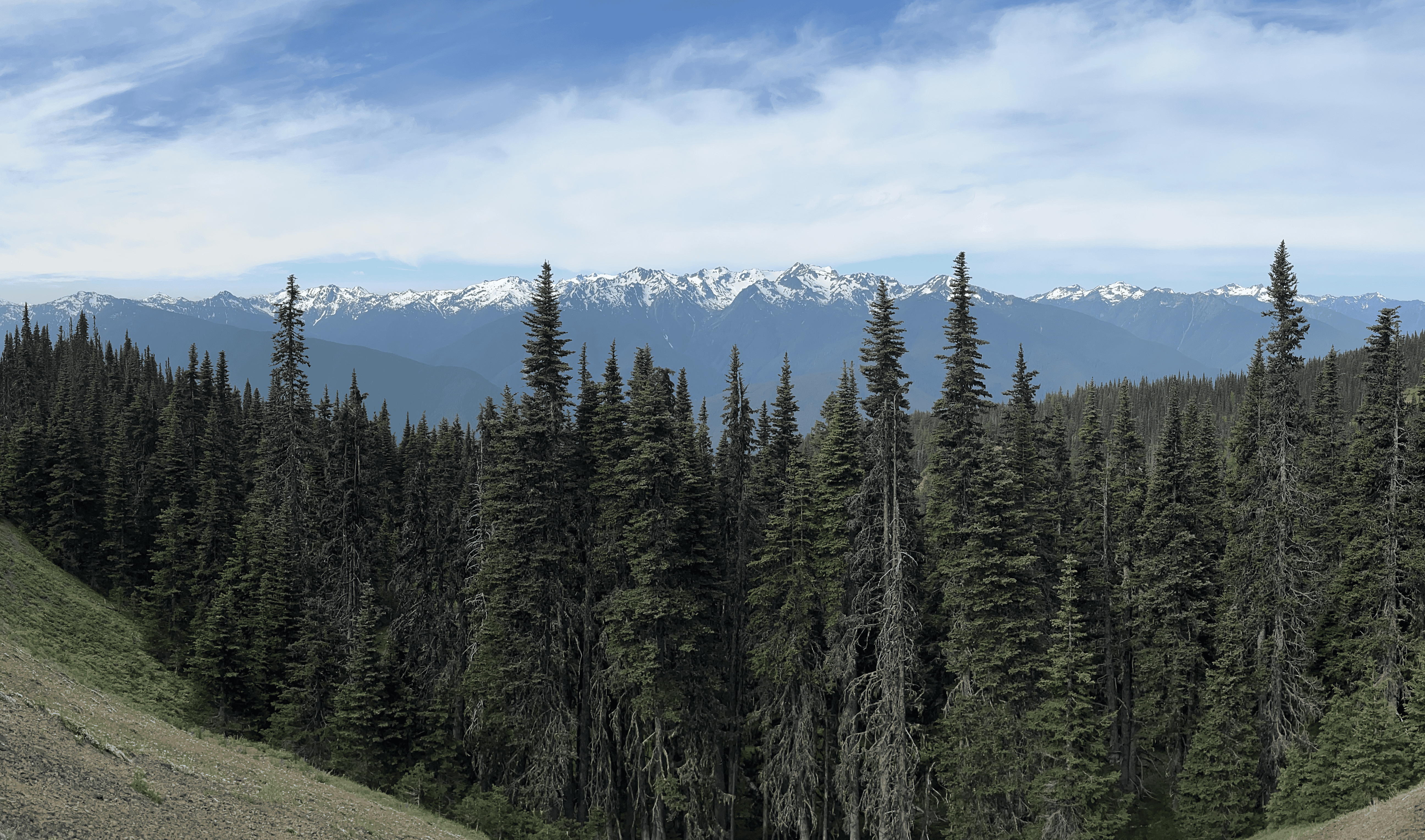 Olympic National Park